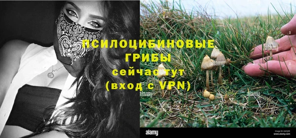 синтетический гашиш Алексин